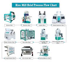 Rice Processing Equipment